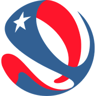 Primera Division logo